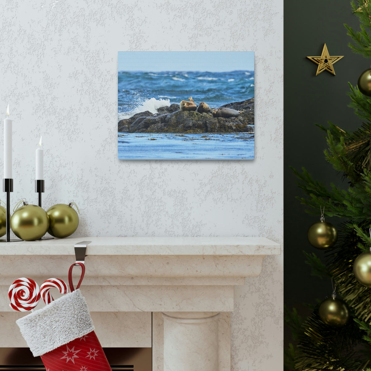 Seal Group Chilling on the Coastline Wall Art Wildlife Canvas Prints Wall Art Ready to Hang Unframed-Express Your Love Gifts