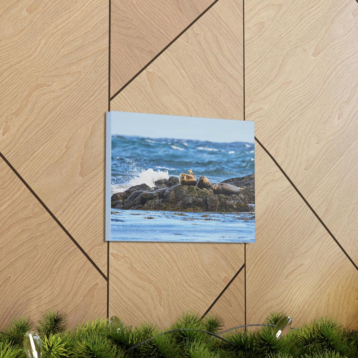 Seal Group Chilling on the Coastline Wall Art Wildlife Canvas Prints Wall Art Ready to Hang Unframed-Express Your Love Gifts