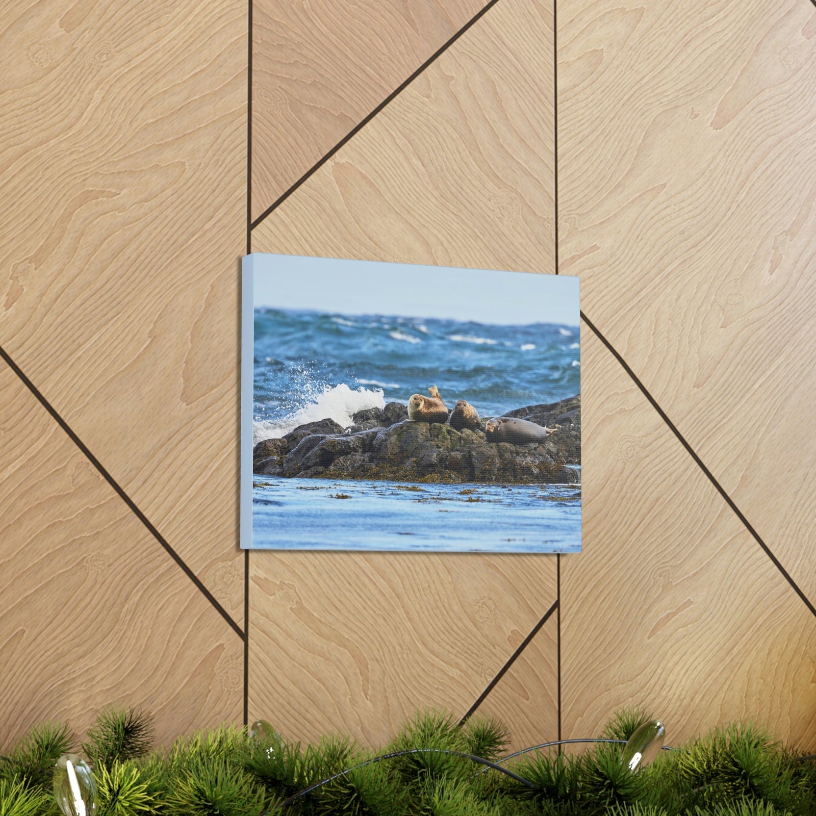 Seal Group Chilling on the Coastline Wall Art Wildlife Canvas Prints Wall Art Ready to Hang Unframed-Express Your Love Gifts