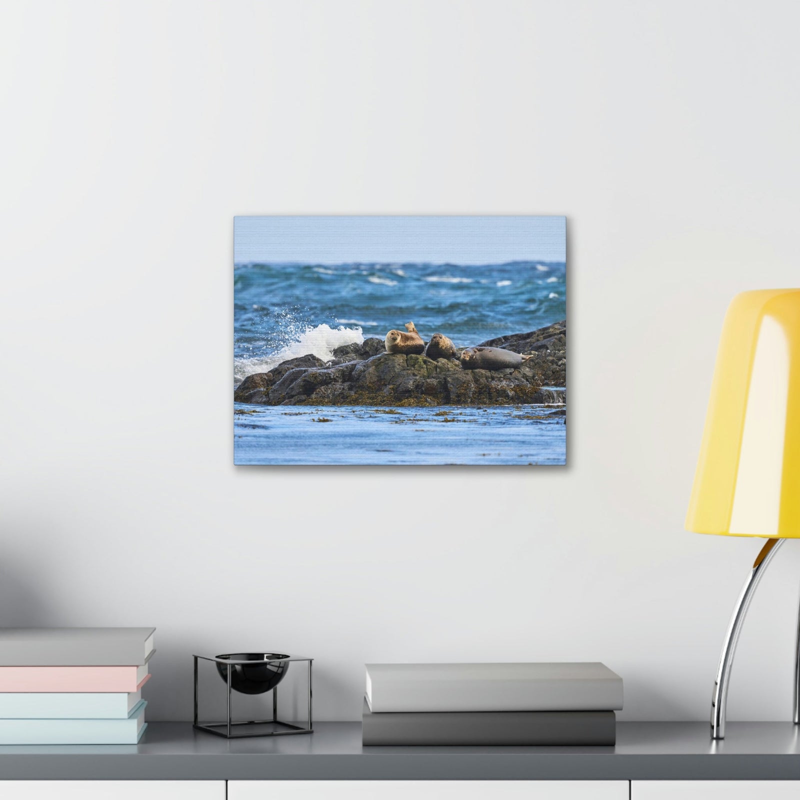 Seal Group Chilling on the Coastline Wall Art Wildlife Canvas Prints Wall Art Ready to Hang Unframed-Express Your Love Gifts