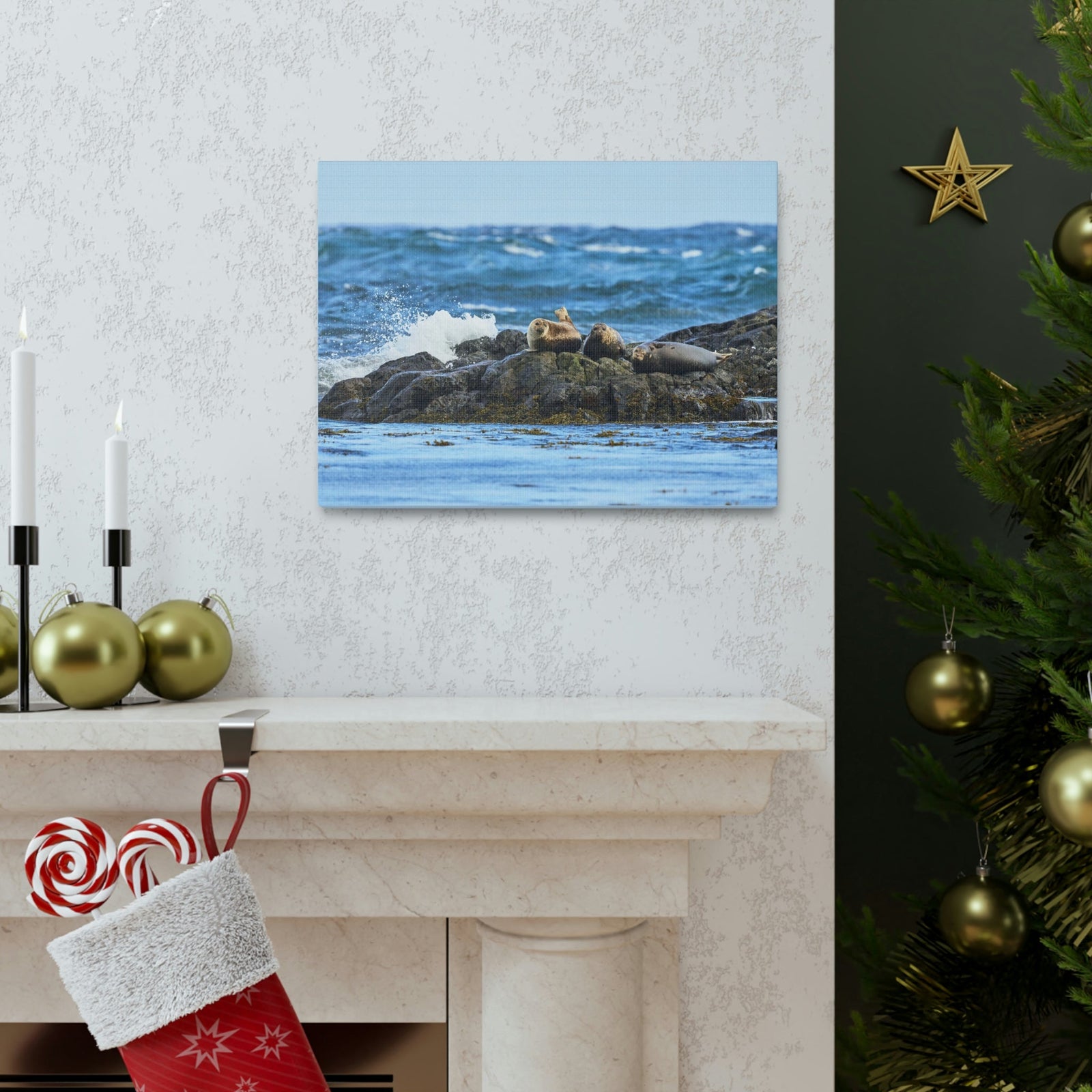 Seal Group Chilling on the Coastline Wall Art Wildlife Canvas Prints Wall Art Ready to Hang Unframed-Express Your Love Gifts