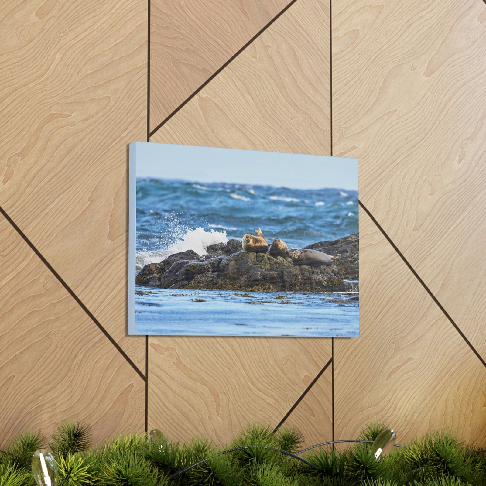 Seal Group Chilling on the Coastline Wall Art Wildlife Canvas Prints Wall Art Ready to Hang Unframed-Express Your Love Gifts