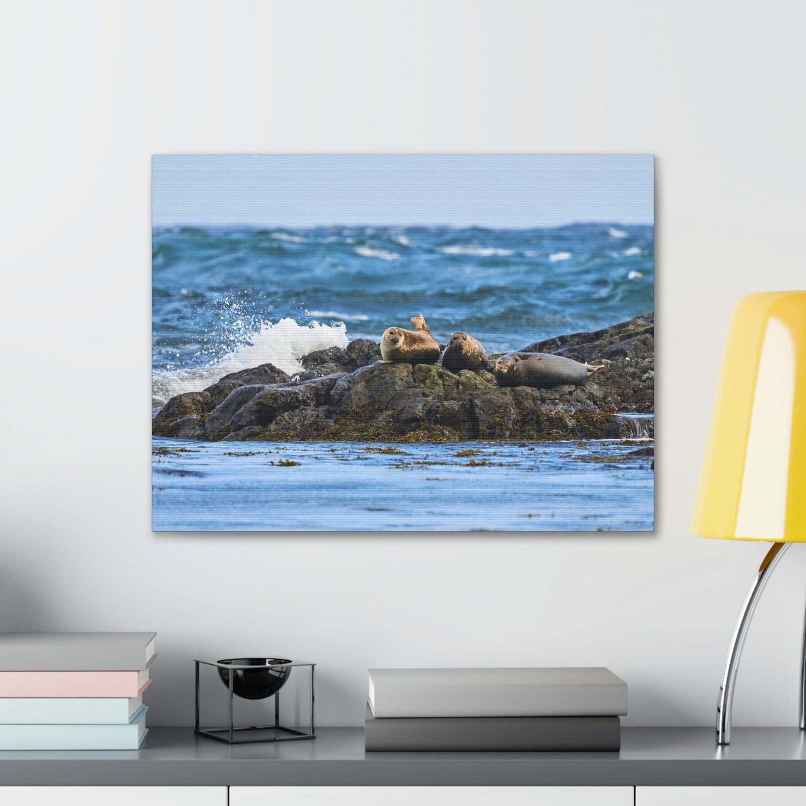 Seal Group Chilling on the Coastline Wall Art Wildlife Canvas Prints Wall Art Ready to Hang Unframed-Express Your Love Gifts