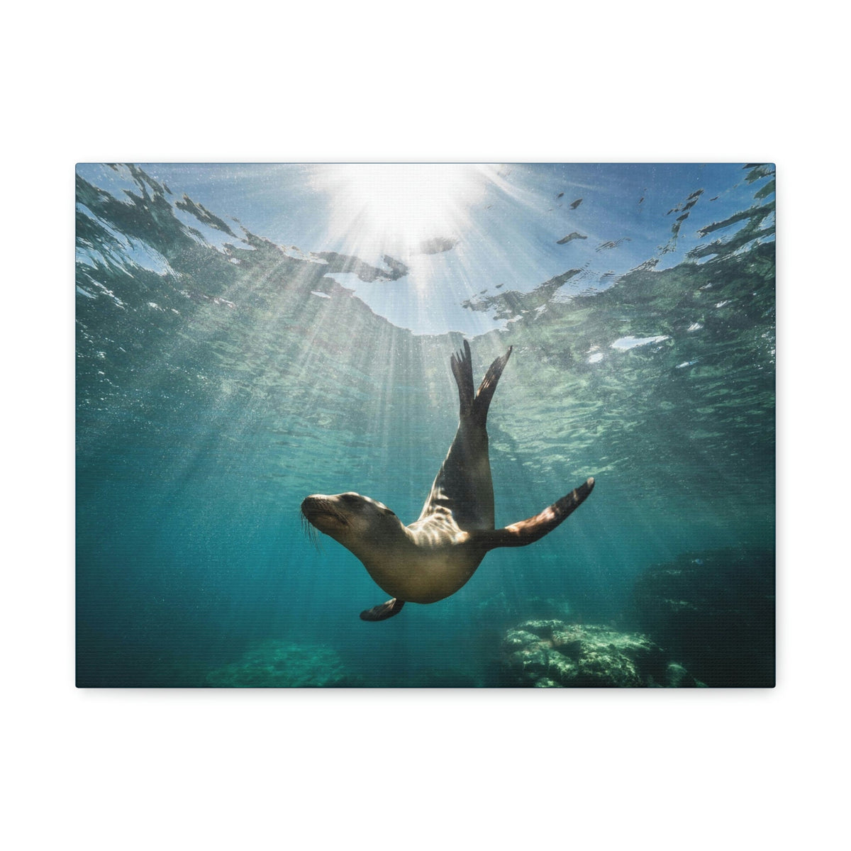 Scripture Walls Seal Hunting Seal on Hunt Print Animal Wall Art Wildlife Canvas Prints Wall Art Ready to Hang Unframed-Express Your Love Gifts