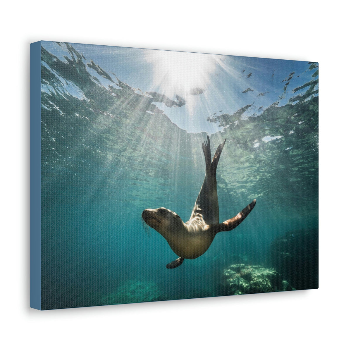 Scripture Walls Seal Hunting Seal on Hunt Print Animal Wall Art Wildlife Canvas Prints Wall Art Ready to Hang Unframed-Express Your Love Gifts