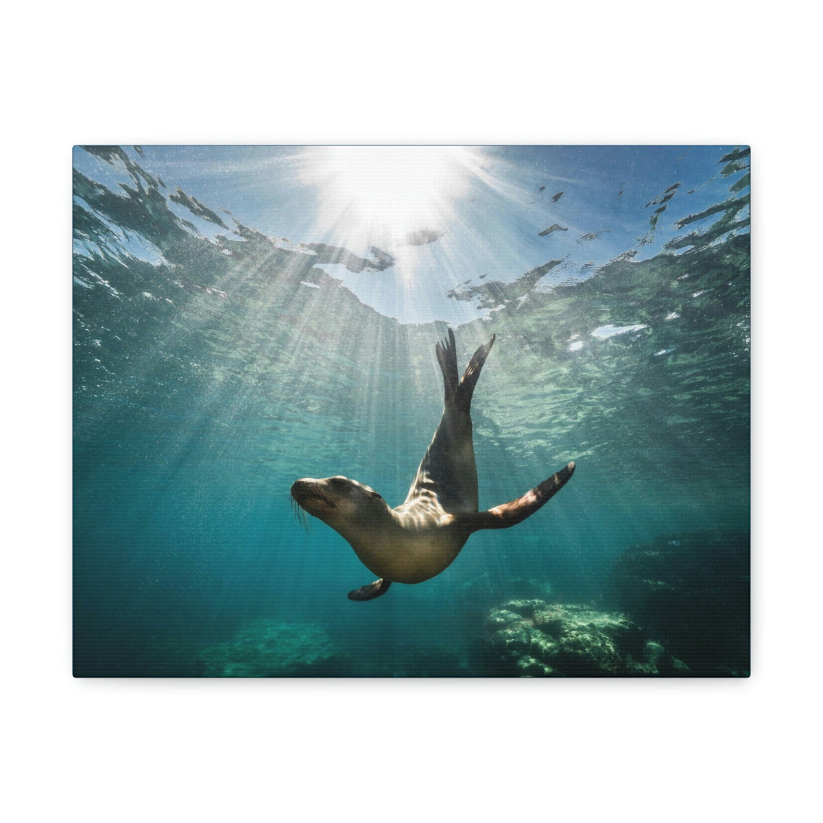 Scripture Walls Seal Hunting Seal on Hunt Print Animal Wall Art Wildlife Canvas Prints Wall Art Ready to Hang Unframed-Express Your Love Gifts