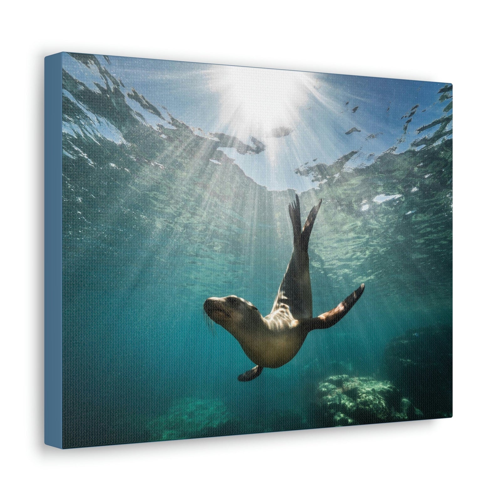 Scripture Walls Seal Hunting Seal on Hunt Print Animal Wall Art Wildlife Canvas Prints Wall Art Ready to Hang Unframed-Express Your Love Gifts