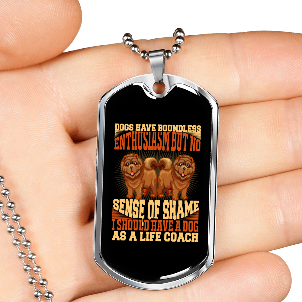 Sense of Shame Necklace Stainless Steel or 18k Gold Dog Tag 24" Chain-Express Your Love Gifts