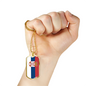 Serbia Flag Necklace Stainless Steel or 18k Gold Dog Tag 24" Chain-Express Your Love Gifts