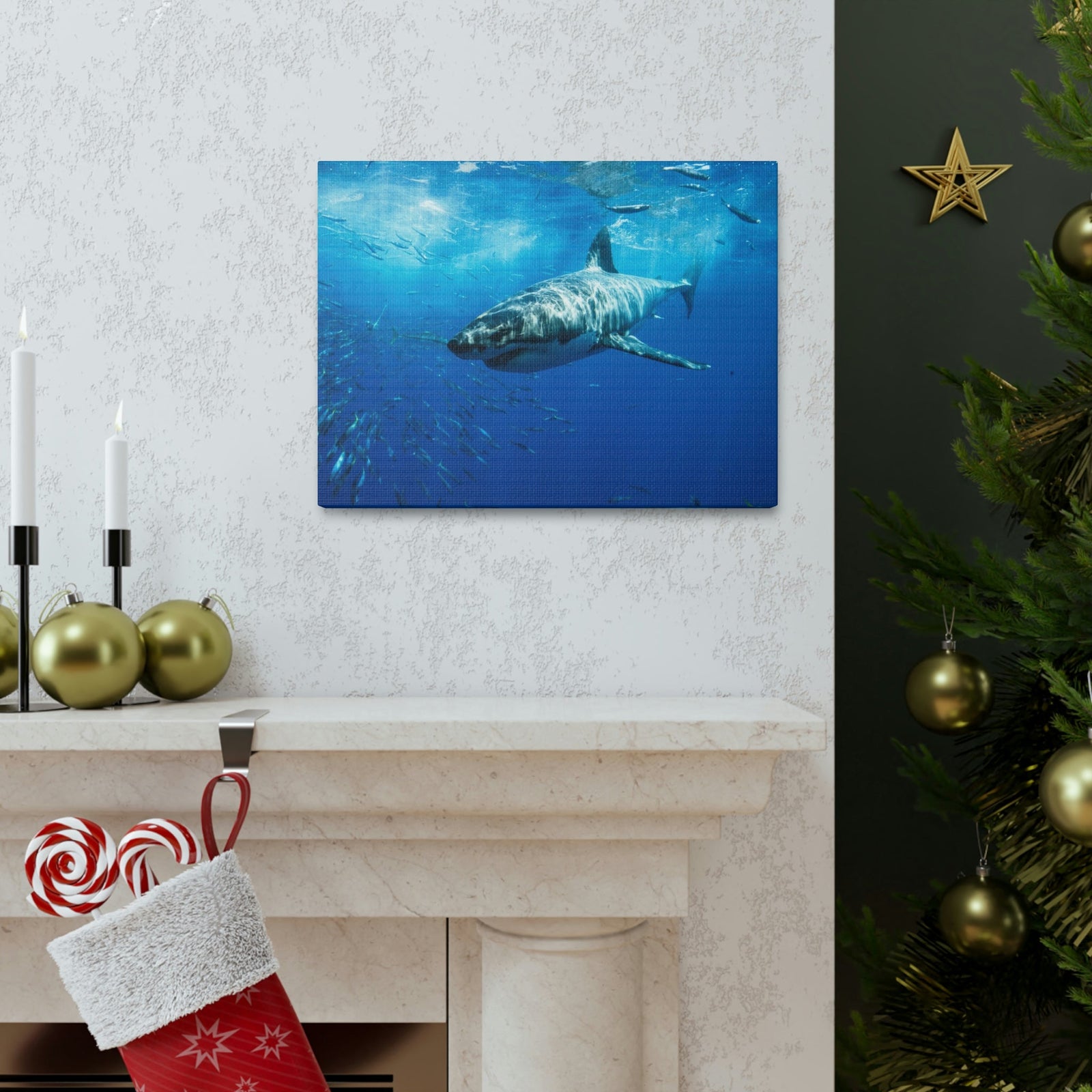 Scripture Walls Shark Hunting Shark on Hunt Print Animal Wall Art Wildlife Canvas Prints Wall Art Ready to Hang Unframed-Express Your Love Gifts