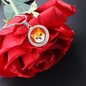 Shiba Inu (SHIB) Circle Necklace Stainless Steel or 18k Gold 18-22"-Express Your Love Gifts