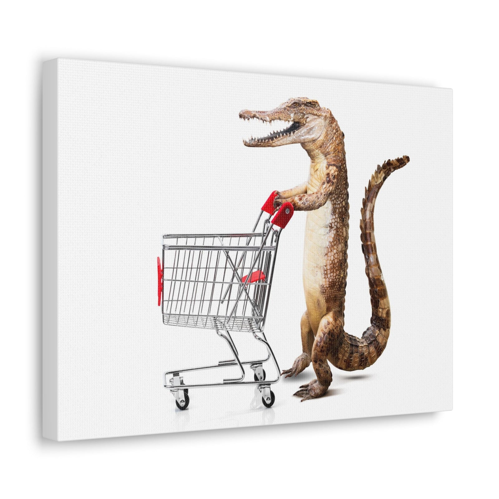 Shopping Alligator Wall Art Canvas Unframed-Express Your Love Gifts
