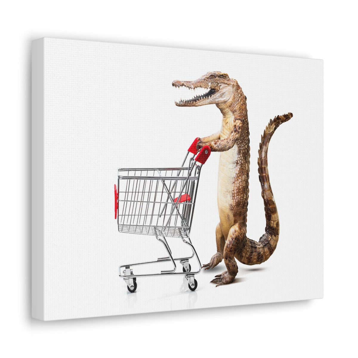 Shopping Alligator Wall Art Canvas Unframed-Express Your Love Gifts