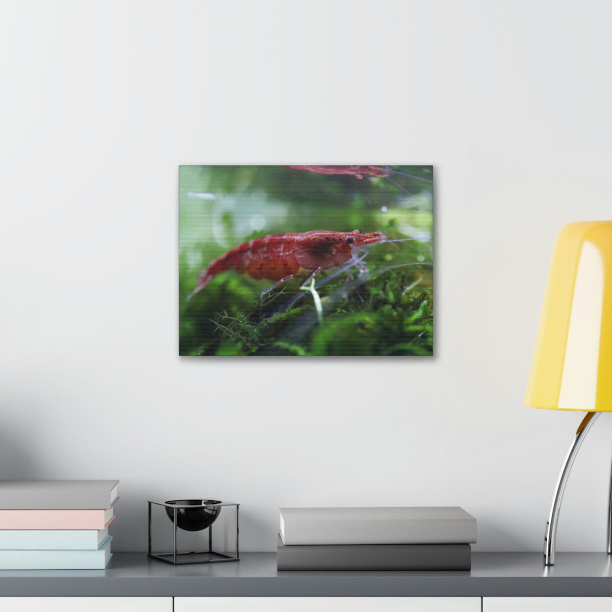 Scripture Walls Shrimp Hunting Shrimp on Hunt Print Animal Wall Art Wildlife Canvas Prints Wall Art Ready to Hang Unframed-Express Your Love Gifts