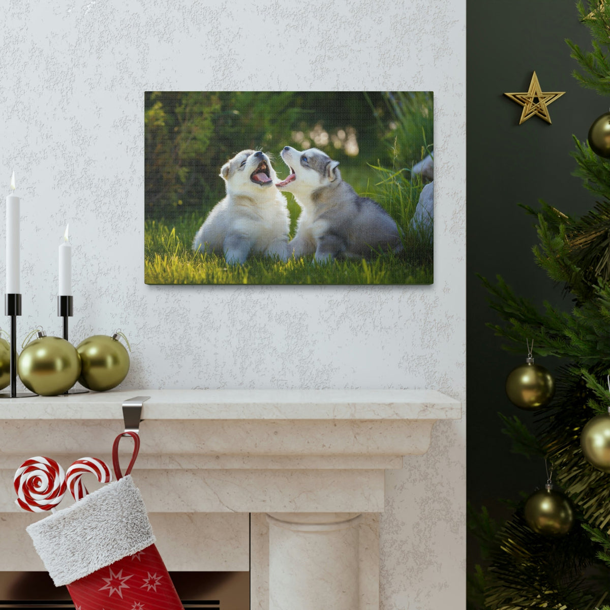Scripture Walls Siberian Husky Couple Siberian Husky Couple Print Animal Wall Art Wildlife Canvas Prints Wall Art Ready to Hang Unframed-Express Your Love Gifts