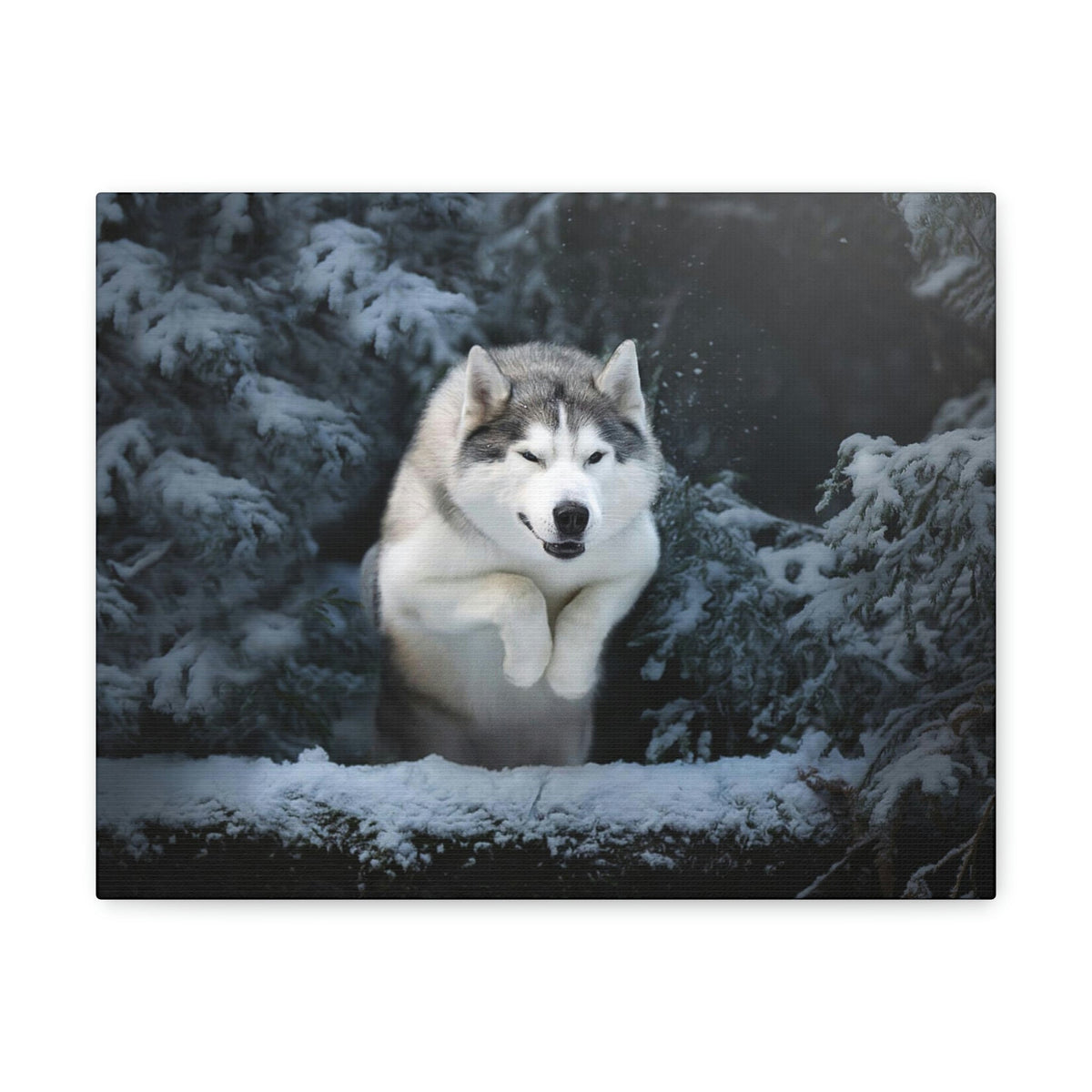 Scripture Walls Siberian Husky Hunting Siberian Husky on Hunt Print Animal Wall Art Wildlife Canvas Prints Wall Art Ready to Hang Unframed-Express Your Love Gifts