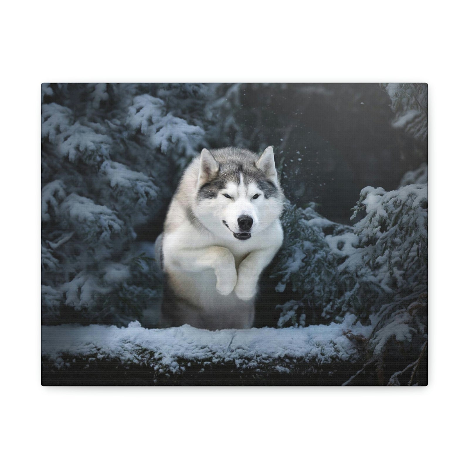 Scripture Walls Siberian Husky Hunting Siberian Husky on Hunt Print Animal Wall Art Wildlife Canvas Prints Wall Art Ready to Hang Unframed-Express Your Love Gifts