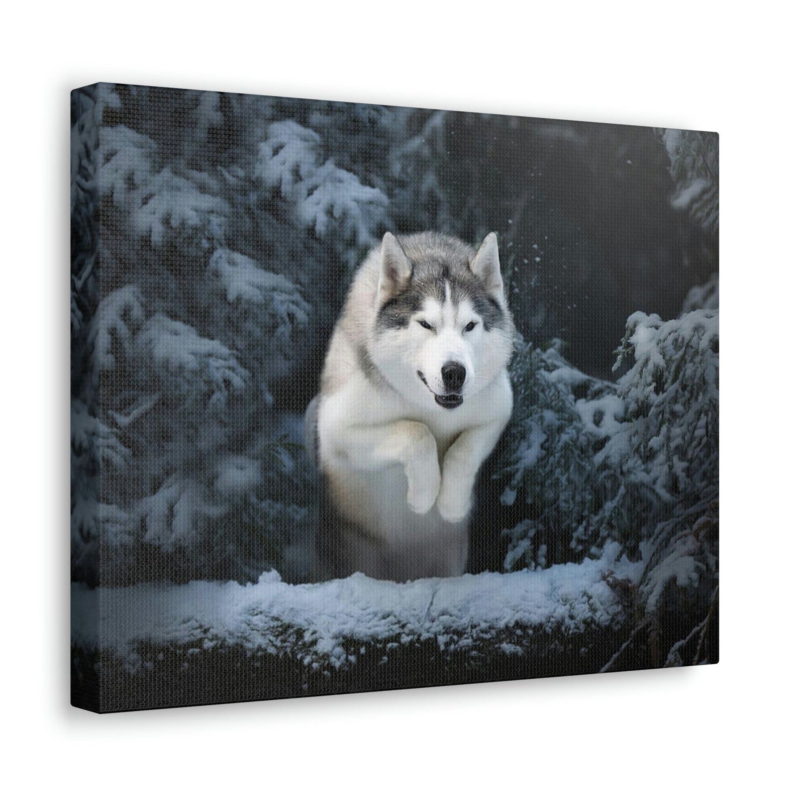Scripture Walls Siberian Husky Hunting Siberian Husky on Hunt Print Animal Wall Art Wildlife Canvas Prints Wall Art Ready to Hang Unframed-Express Your Love Gifts