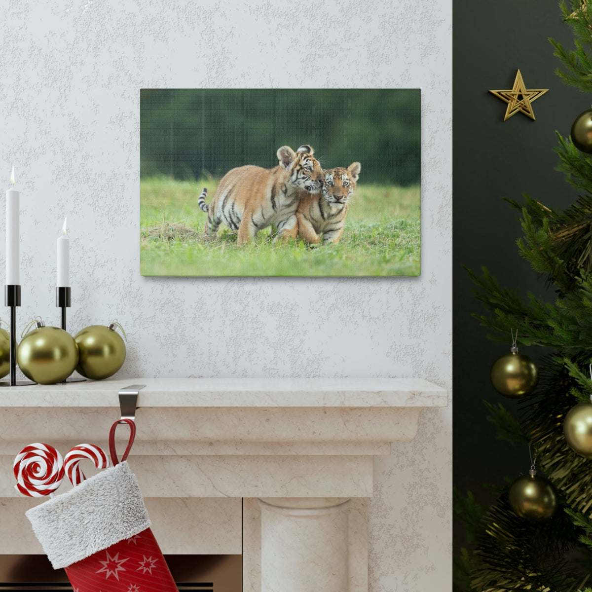 Scripture Walls Siberian Tiger Couple Siberian Tiger Couple Print Animal Wall Art Wildlife Canvas Prints Wall Art Ready to Hang Unframed-Express Your Love Gifts