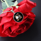 Sip Coffee And Pet Cat Circle Necklace Stainless Steel or 18k Gold 18-22"-Express Your Love Gifts
