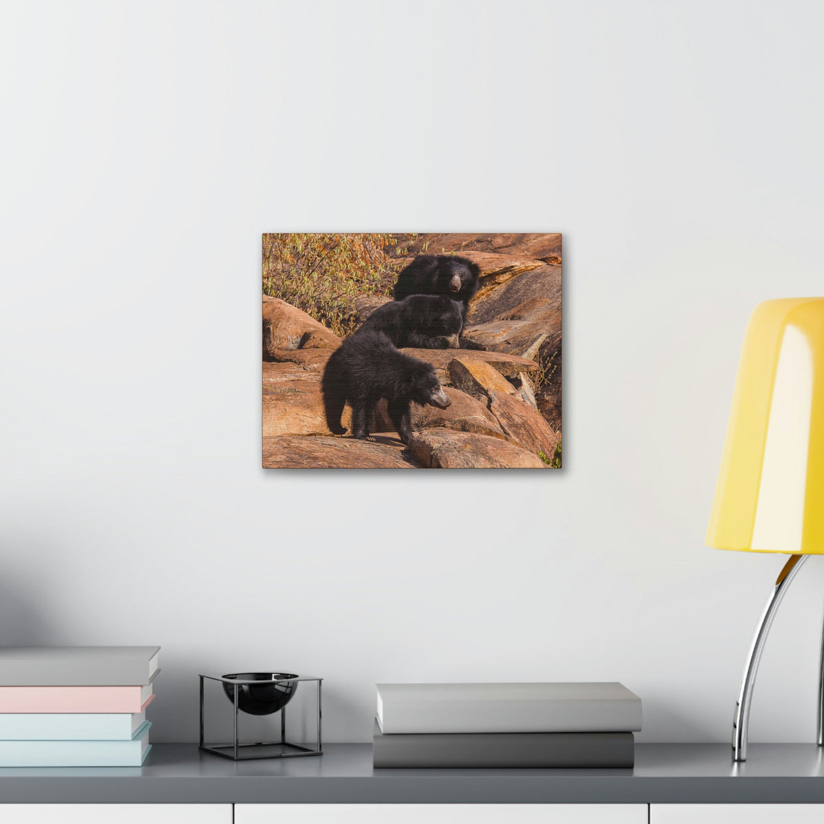 Scripture Walls Sloth Bear Group Sloth Bear Troop Print Animal Wall Art Wildlife Canvas Prints Wall Art Ready to Hang Unframed-Express Your Love Gifts