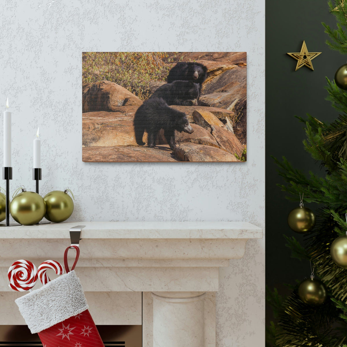 Scripture Walls Sloth Bear Group Sloth Bear Troop Print Animal Wall Art Wildlife Canvas Prints Wall Art Ready to Hang Unframed-Express Your Love Gifts