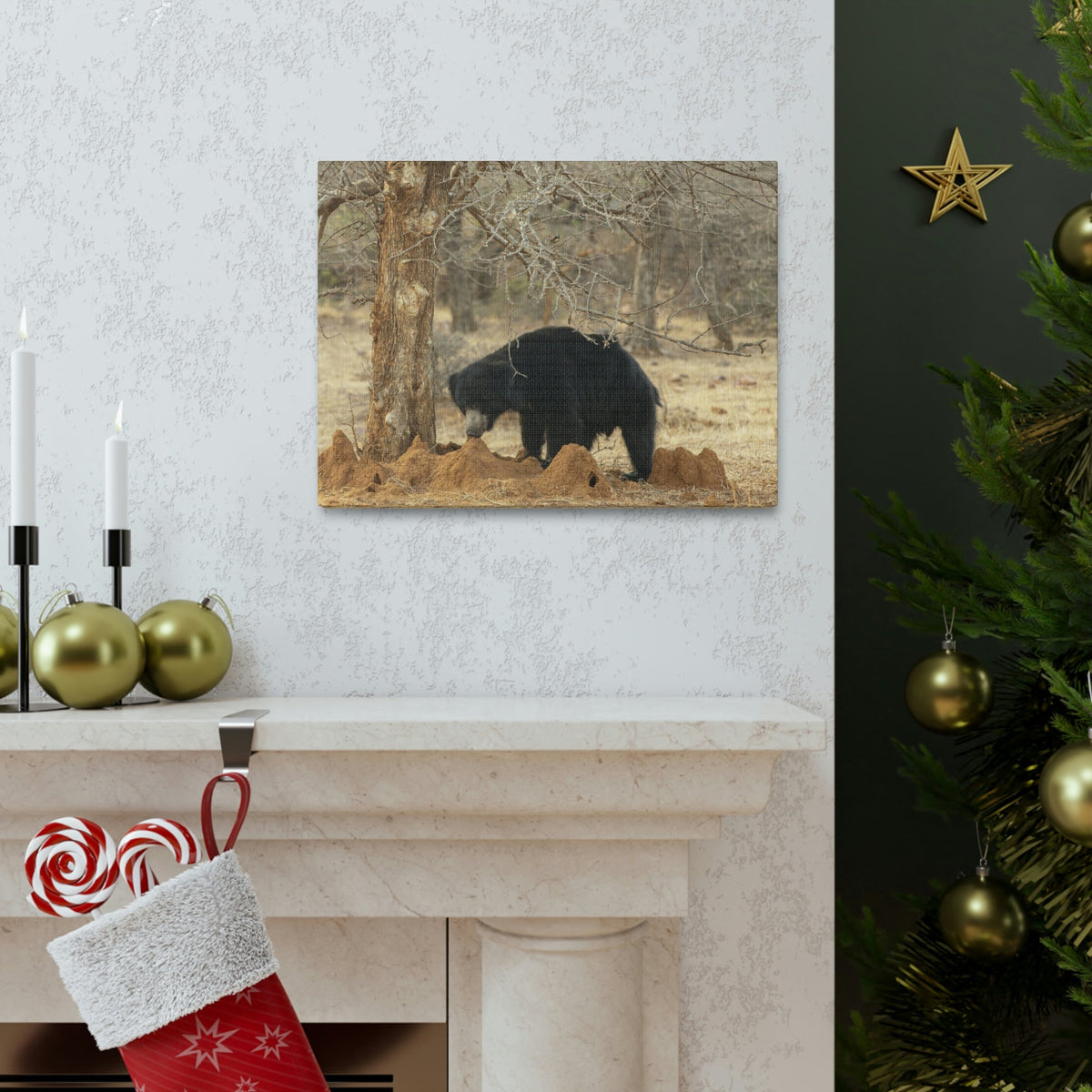 Scripture Walls Sloth Bear Hunting Sloth Bear on Hunt Print Animal Wall Art Wildlife Canvas Prints Wall Art Ready to Hang Unframed-Express Your Love Gifts