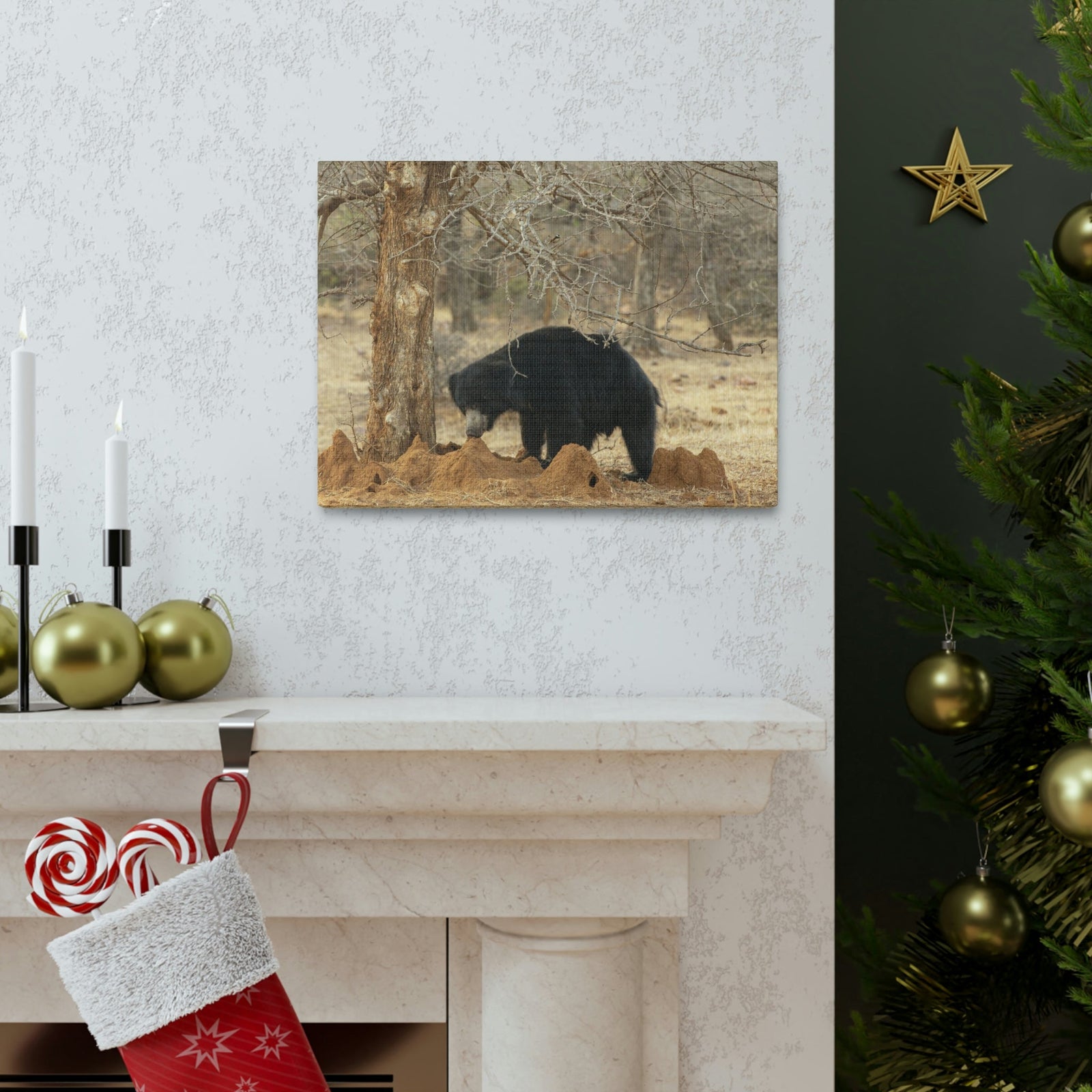 Scripture Walls Sloth Bear Hunting Sloth Bear on Hunt Print Animal Wall Art Wildlife Canvas Prints Wall Art Ready to Hang Unframed-Express Your Love Gifts