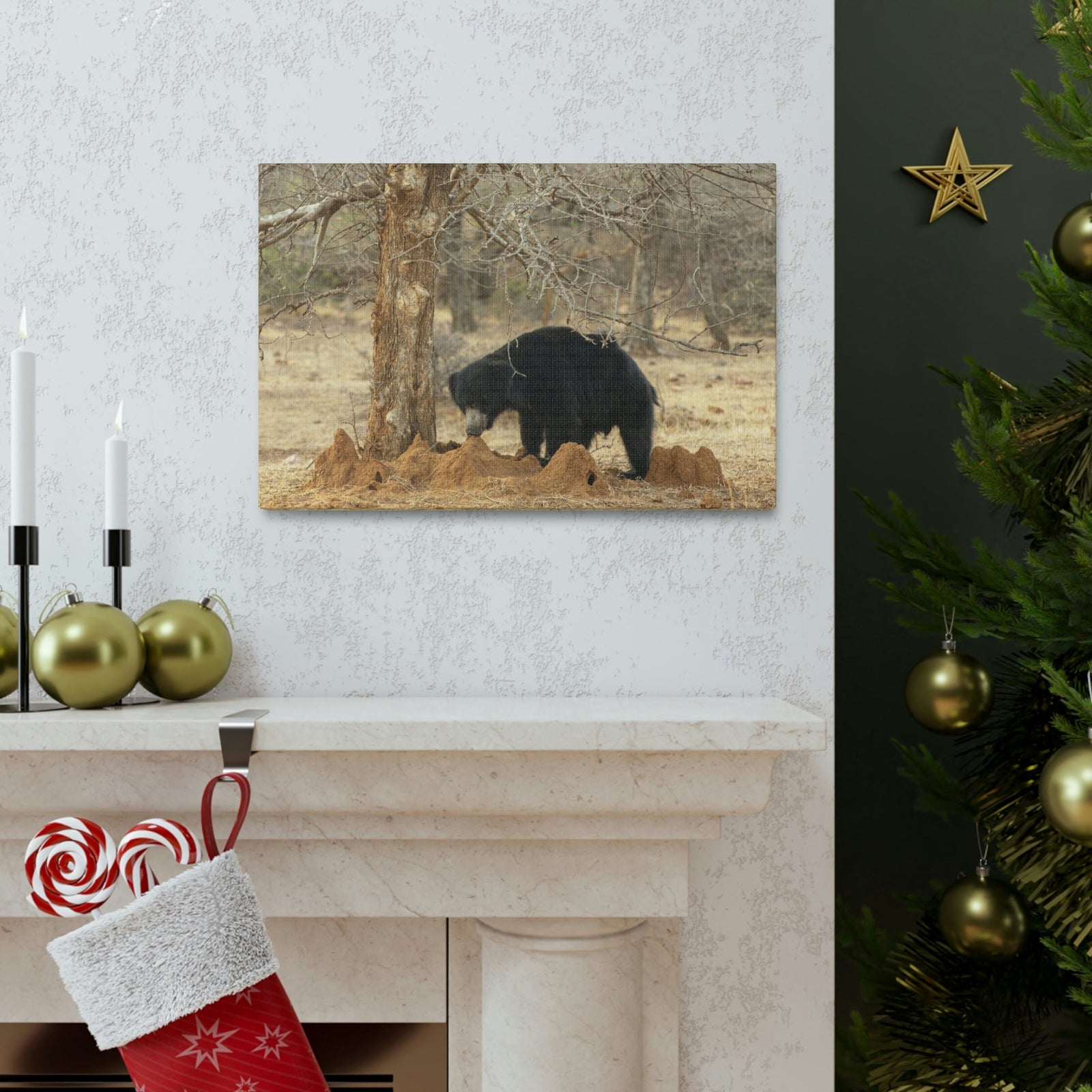 Scripture Walls Sloth Bear Hunting Sloth Bear on Hunt Print Animal Wall Art Wildlife Canvas Prints Wall Art Ready to Hang Unframed-Express Your Love Gifts