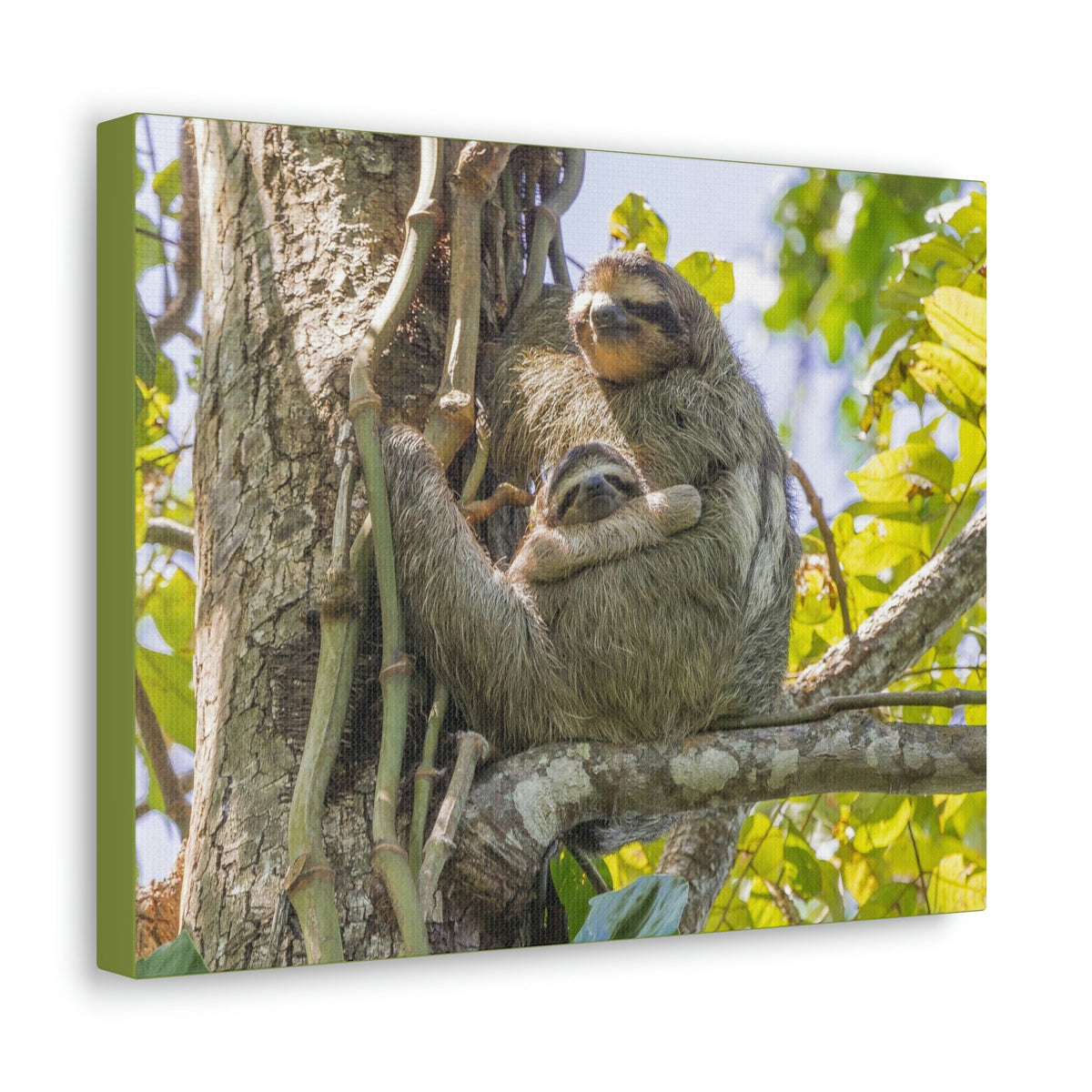 Scripture Walls Sloth Group Sloth Troop Print Animal Wall Art Wildlife Canvas Prints Wall Art Ready to Hang Unframed-Express Your Love Gifts