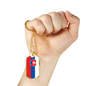Slovakia Flag Necklace Stainless Steel or 18k Gold Dog Tag 24" Chain-Express Your Love Gifts