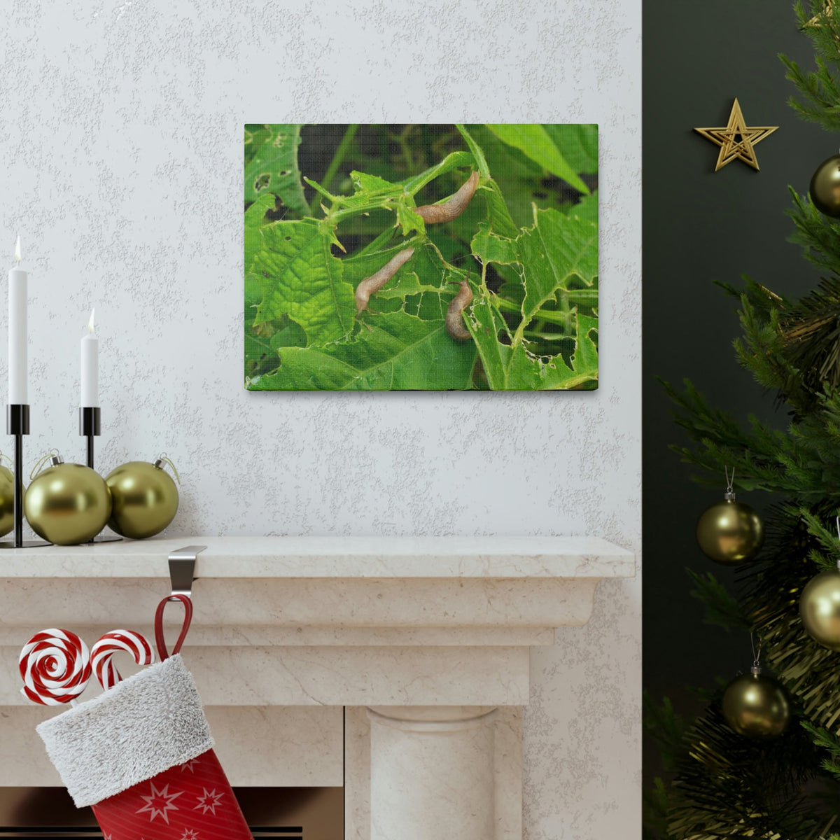 Scripture Walls Slug Hunting Slug on Hunt Print Animal Wall Art Wildlife Canvas Prints Wall Art Ready to Hang Unframed-Express Your Love Gifts