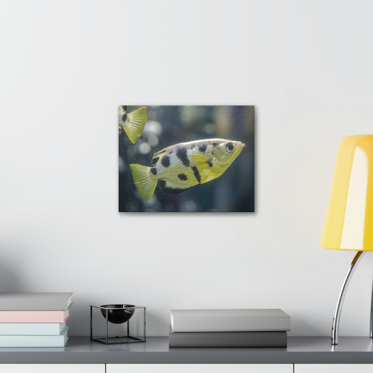 Small Archer Fish Archer Fish In Aquarium Wall Art Ready To Hang Unframed-Express Your Love Gifts