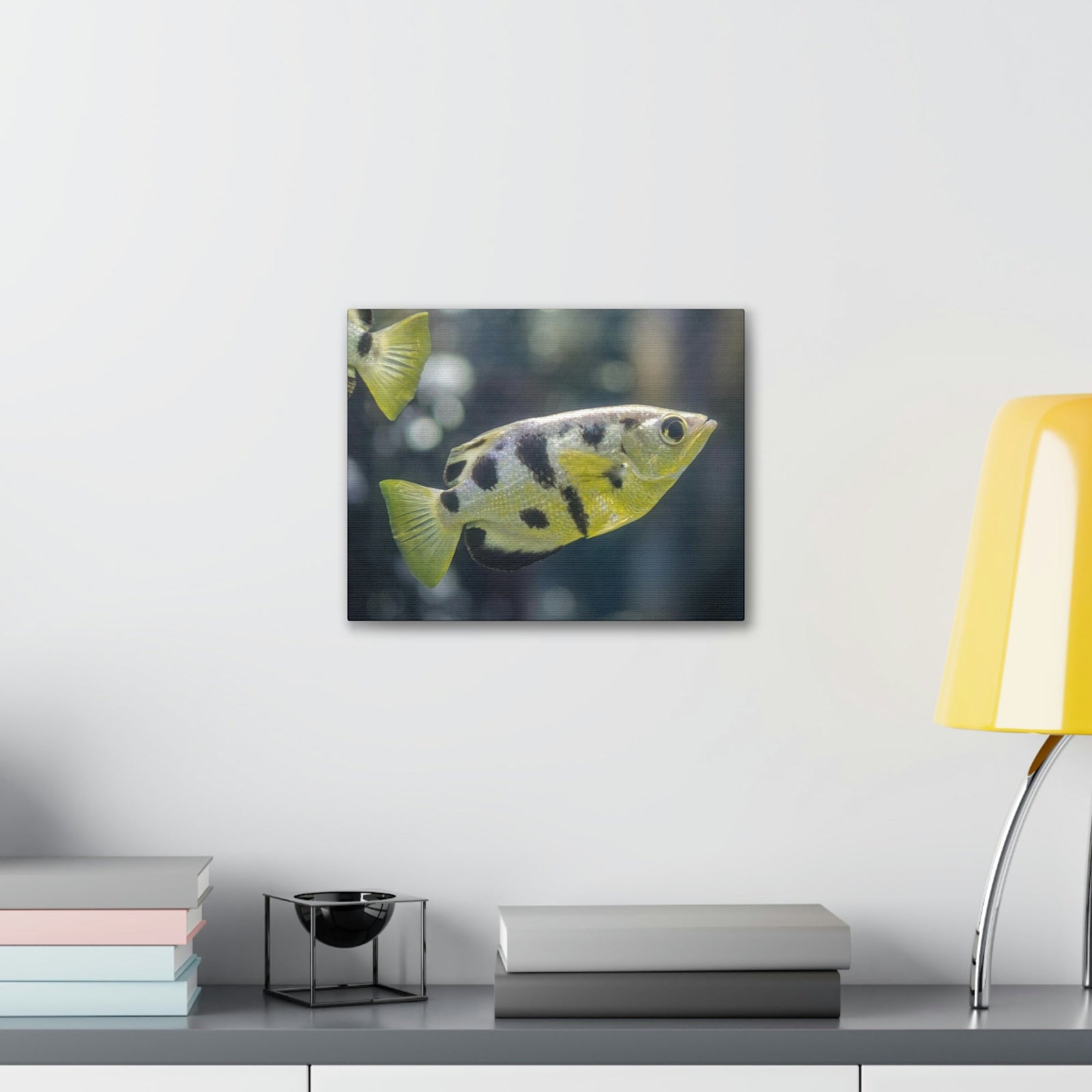 Small Archer Fish Archer Fish In Aquarium Wall Art Ready To Hang Unframed-Express Your Love Gifts