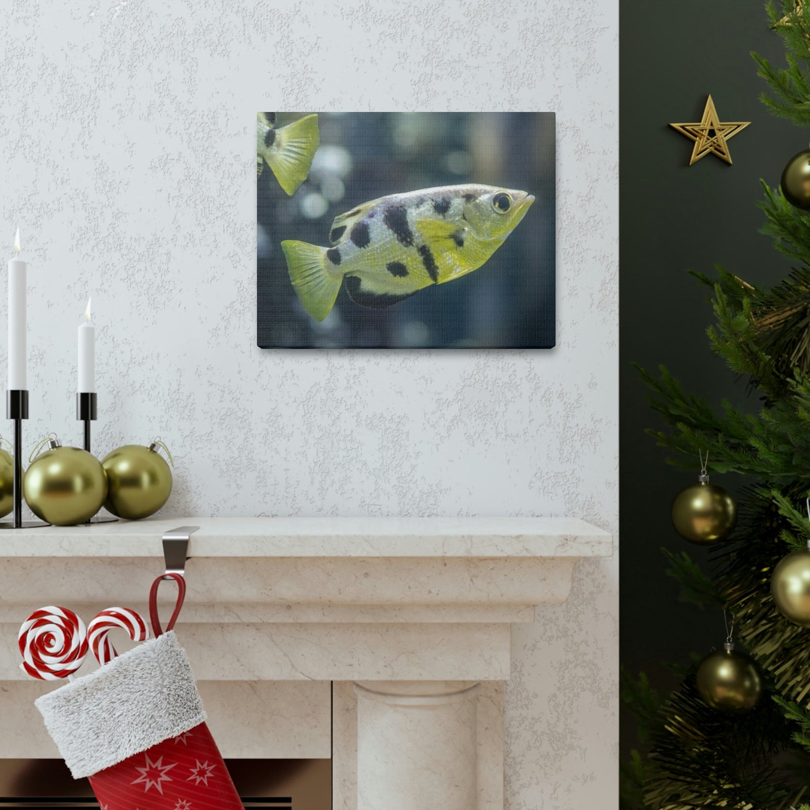 Small Archer Fish Archer Fish In Aquarium Wall Art Ready To Hang Unframed-Express Your Love Gifts