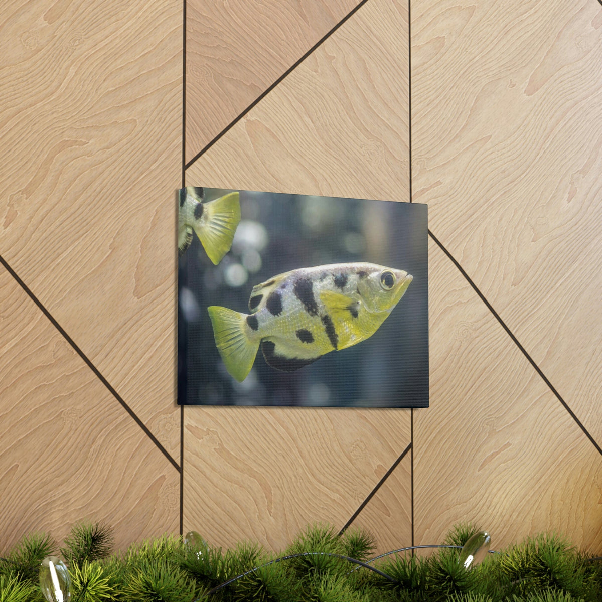 Small Archer Fish Archer Fish In Aquarium Wall Art Ready To Hang Unframed-Express Your Love Gifts