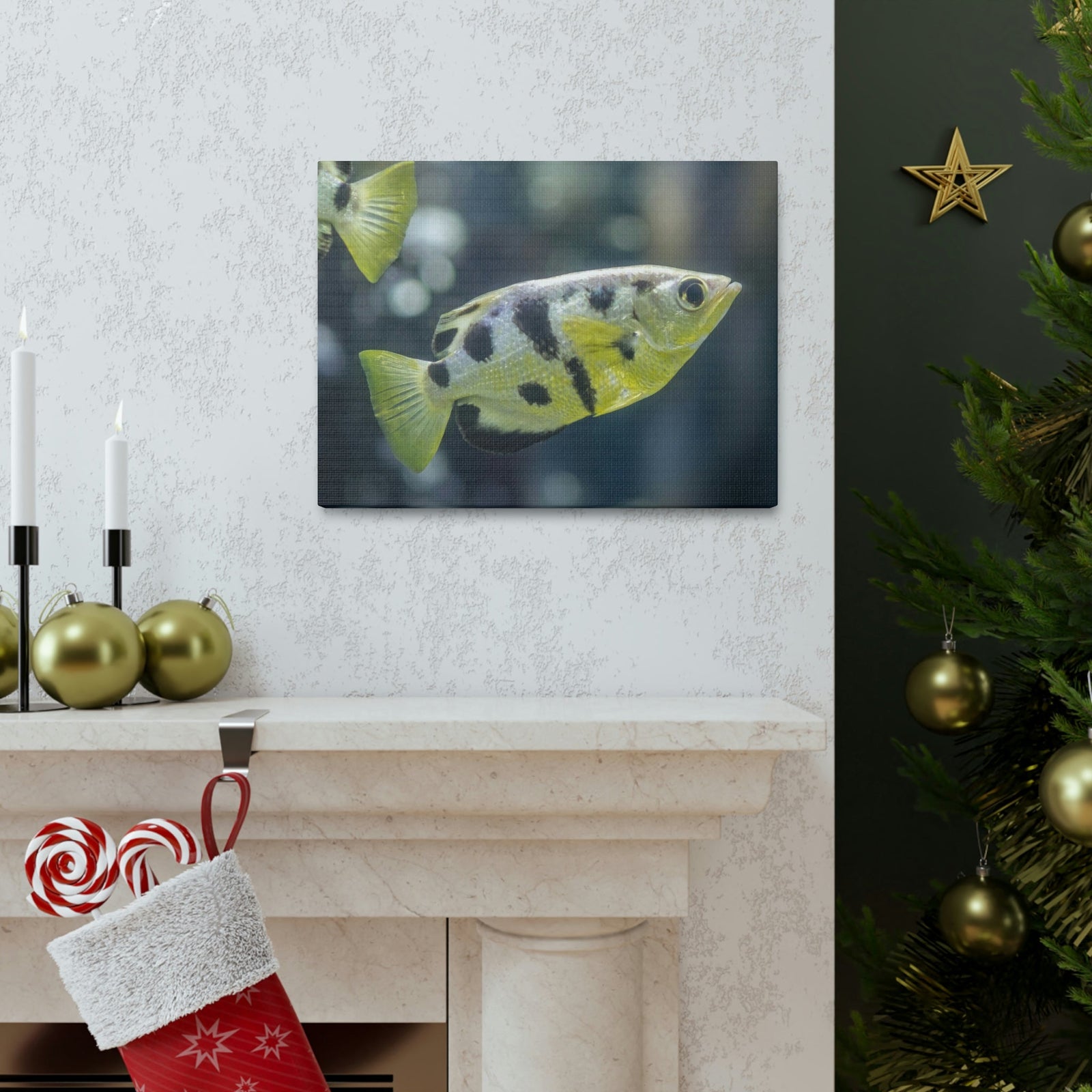 Small Archer Fish Archer Fish In Aquarium Wall Art Ready To Hang Unframed-Express Your Love Gifts