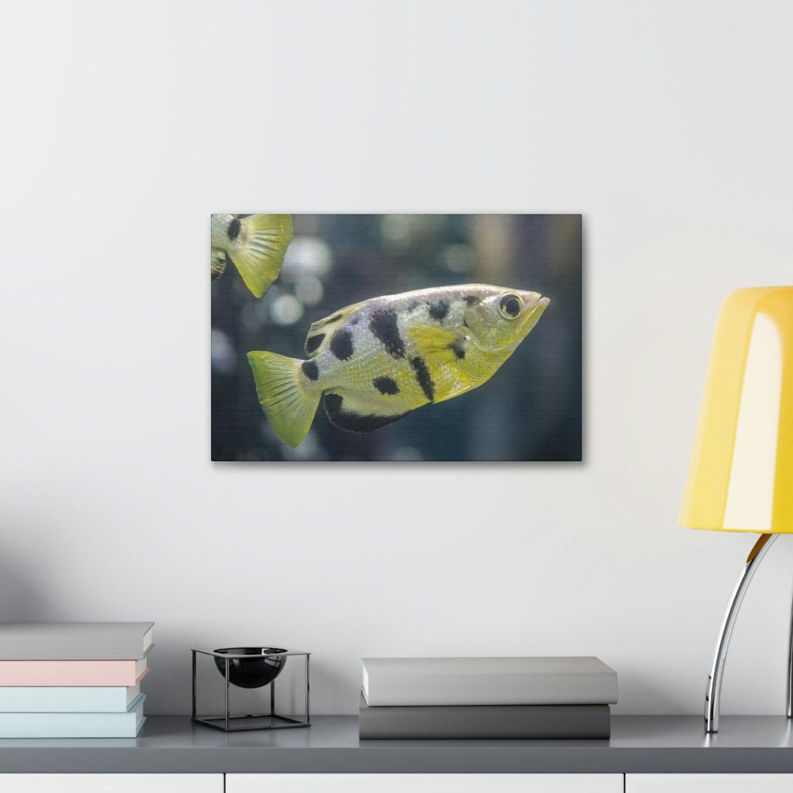 Small Archer Fish Archer Fish In Aquarium Wall Art Ready To Hang Unframed-Express Your Love Gifts