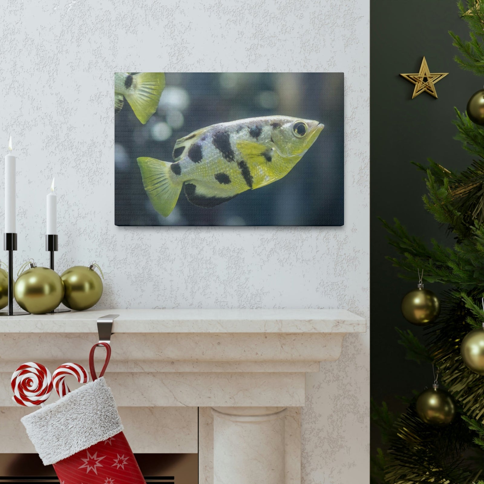Small Archer Fish Archer Fish In Aquarium Wall Art Ready To Hang Unframed-Express Your Love Gifts