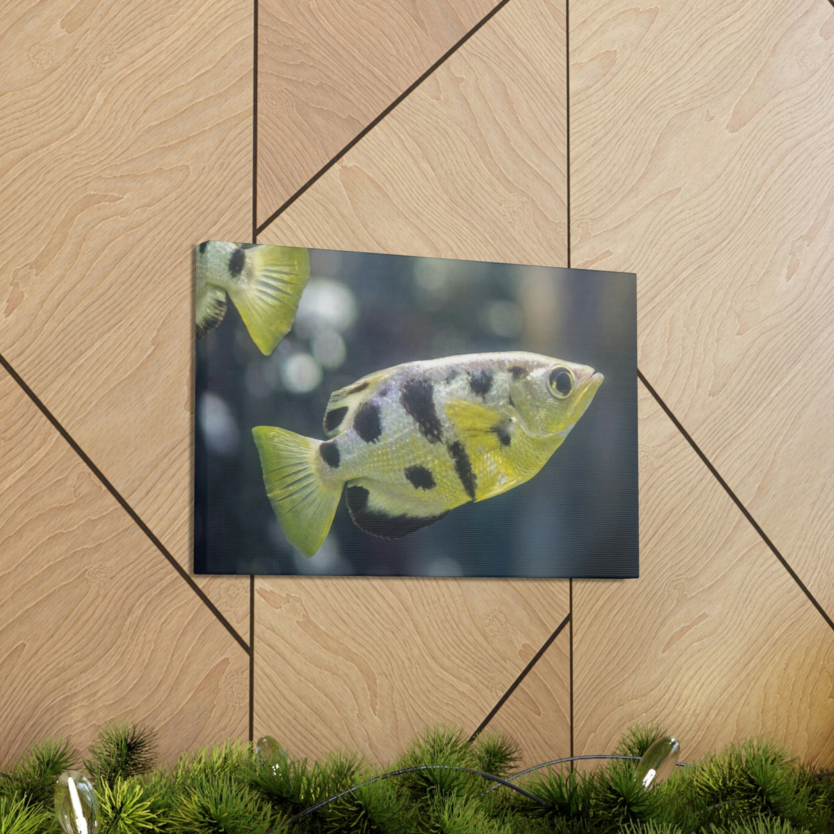 Small Archer Fish Archer Fish In Aquarium Wall Art Ready To Hang Unframed-Express Your Love Gifts
