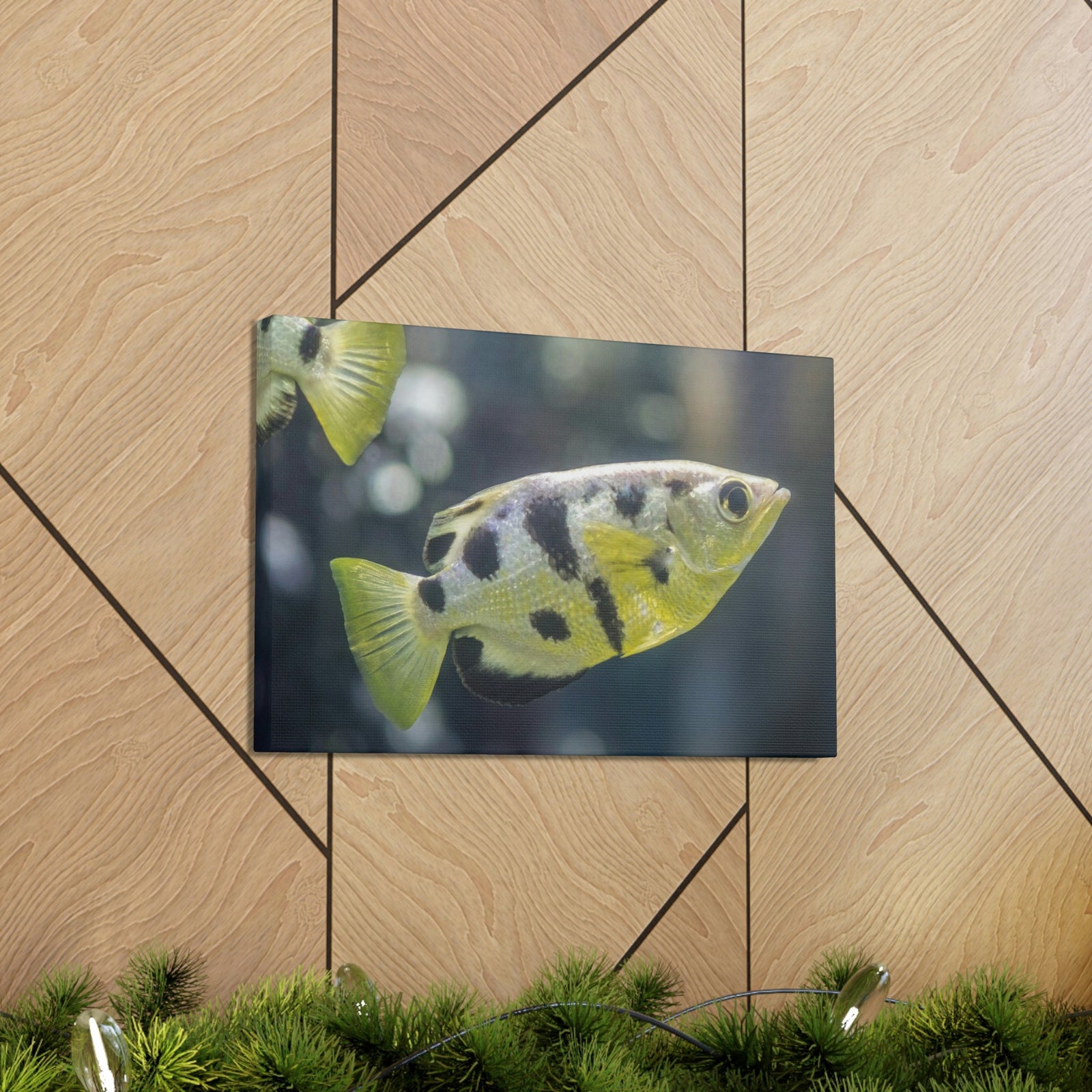 Small Archer Fish Archer Fish In Aquarium Wall Art Ready To Hang Unframed-Express Your Love Gifts