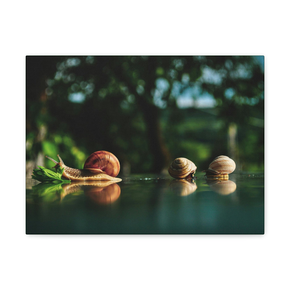 Scripture Walls Snails Group Snails Troop Print Animal Wall Art Wildlife Canvas Prints Wall Art Ready to Hang Unframed-Express Your Love Gifts