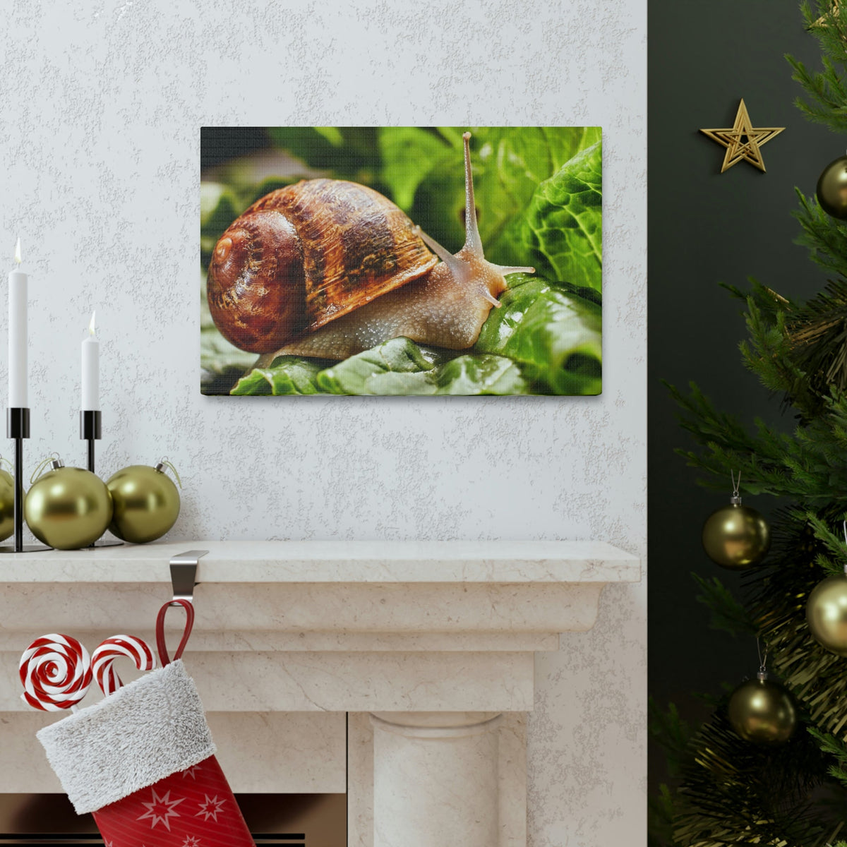 Scripture Walls Snails Hunting Snails on Hunt Print Animal Wall Art Wildlife Canvas Prints Wall Art Ready to Hang Unframed-Express Your Love Gifts