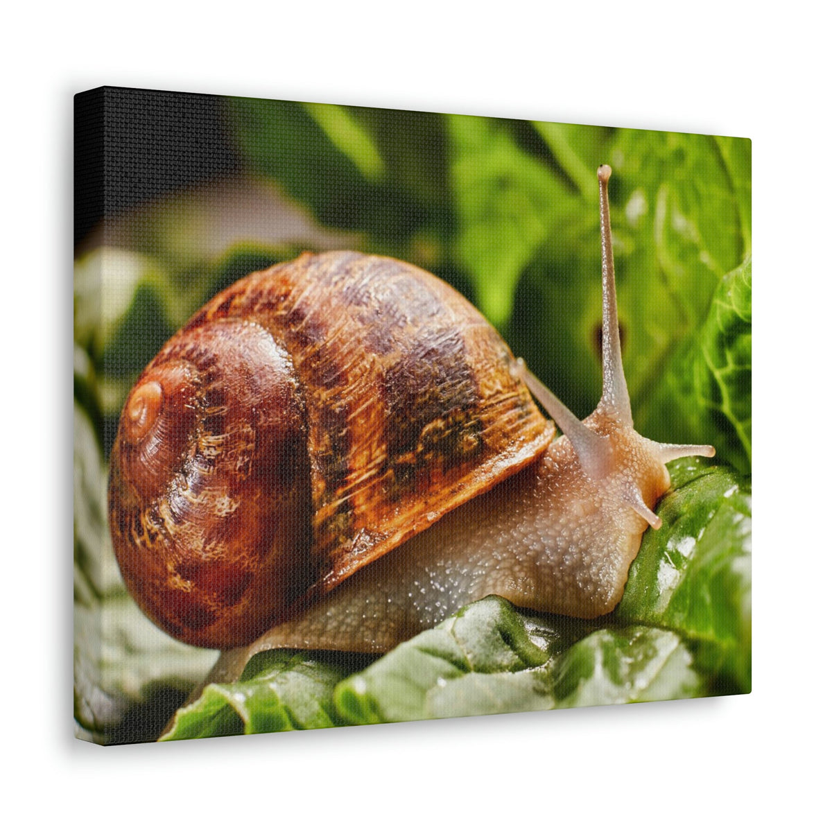 Scripture Walls Snails Hunting Snails on Hunt Print Animal Wall Art Wildlife Canvas Prints Wall Art Ready to Hang Unframed-Express Your Love Gifts