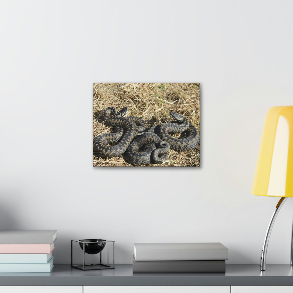 Scripture Walls Snake Couple Snake Couple Print Animal Wall Art Wildlife Canvas Prints Wall Art Ready to Hang Unframed-Express Your Love Gifts