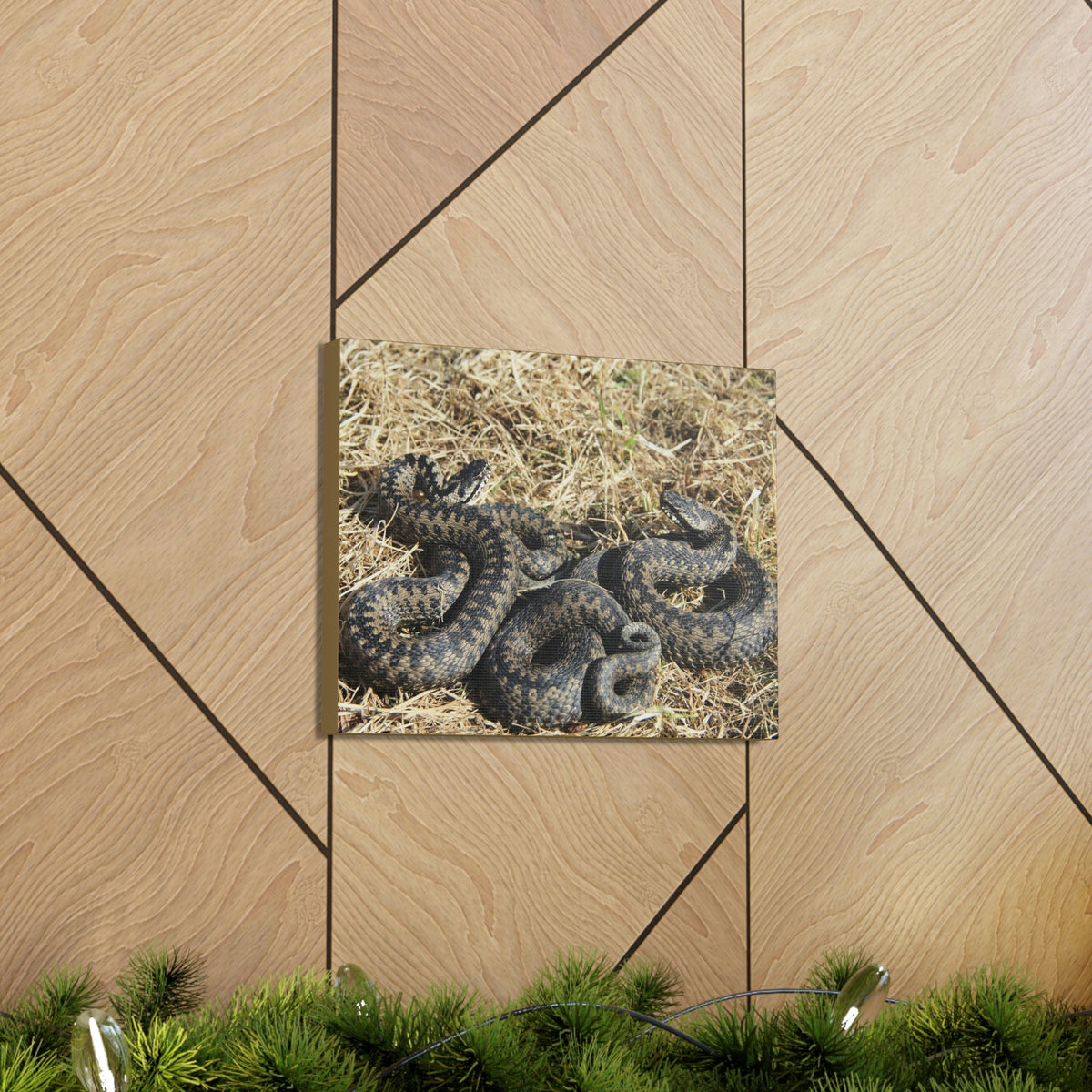 Scripture Walls Snake Couple Snake Couple Print Animal Wall Art Wildlife Canvas Prints Wall Art Ready to Hang Unframed-Express Your Love Gifts