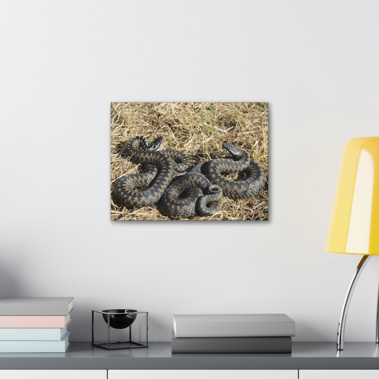 Scripture Walls Snake Couple Snake Couple Print Animal Wall Art Wildlife Canvas Prints Wall Art Ready to Hang Unframed-Express Your Love Gifts