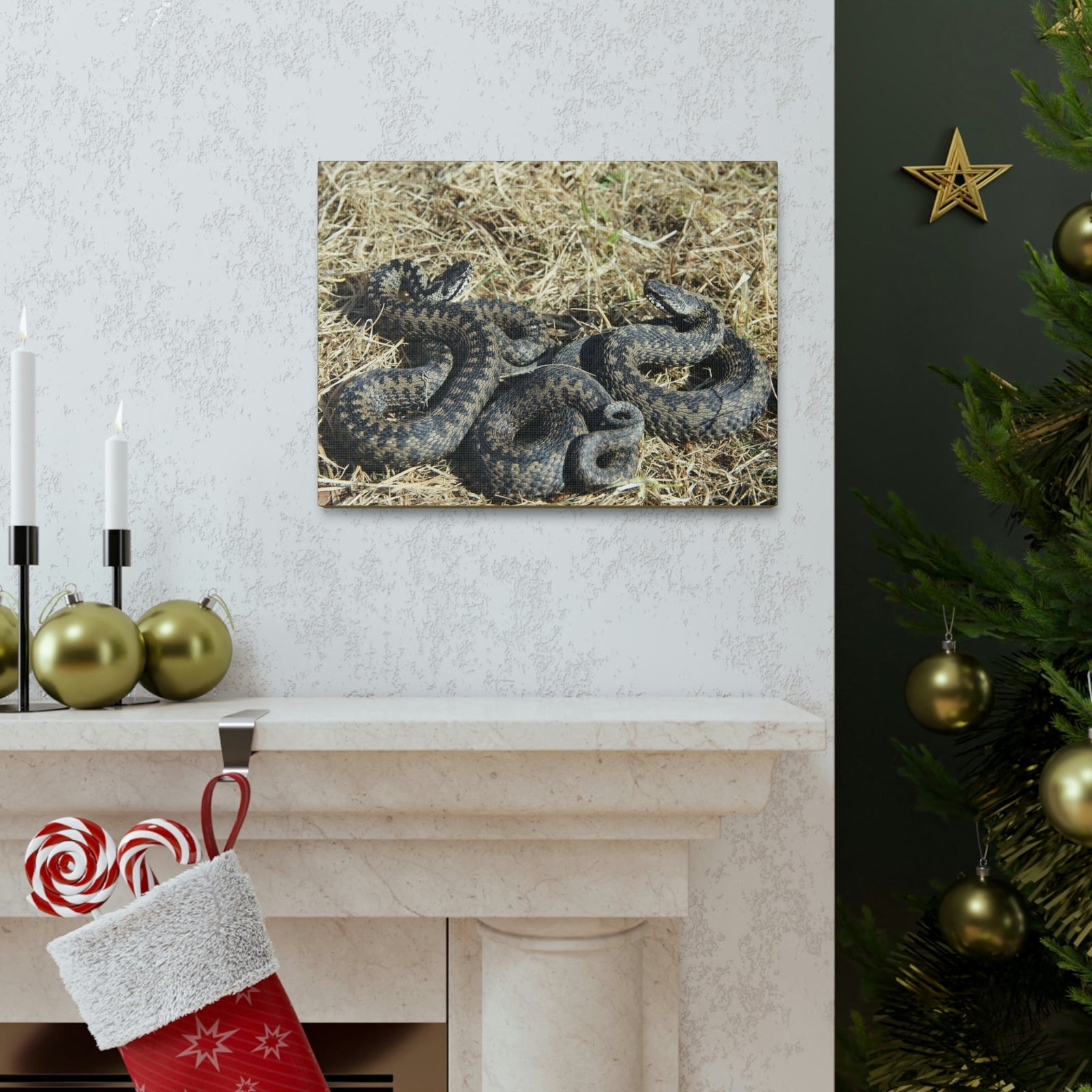 Scripture Walls Snake Couple Snake Couple Print Animal Wall Art Wildlife Canvas Prints Wall Art Ready to Hang Unframed-Express Your Love Gifts