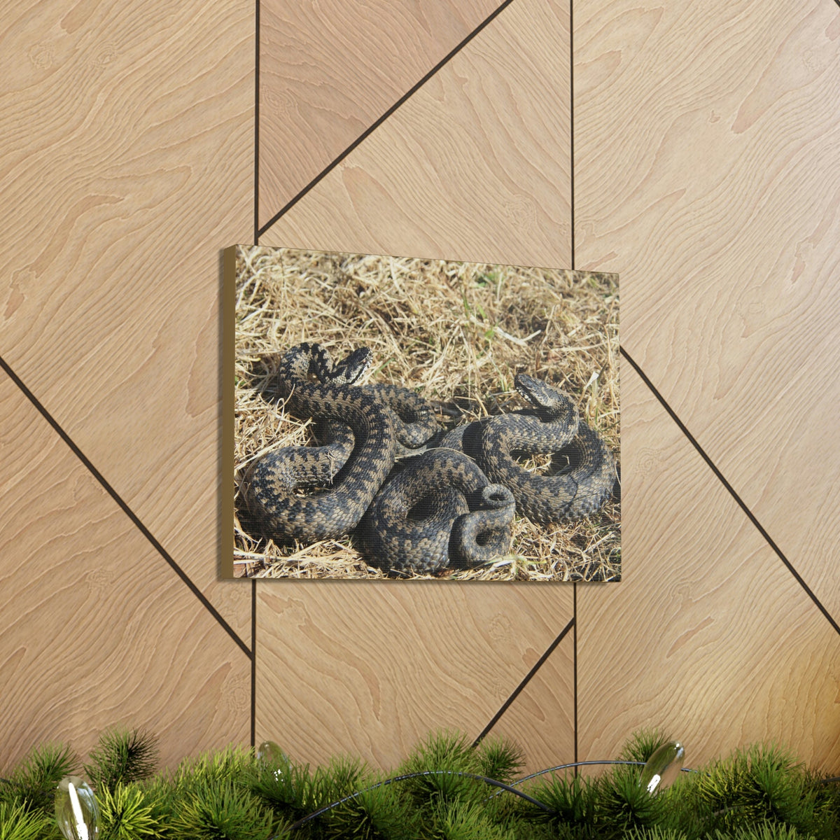 Scripture Walls Snake Couple Snake Couple Print Animal Wall Art Wildlife Canvas Prints Wall Art Ready to Hang Unframed-Express Your Love Gifts
