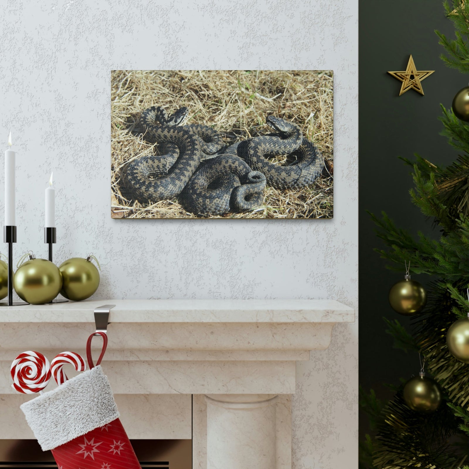 Scripture Walls Snake Couple Snake Couple Print Animal Wall Art Wildlife Canvas Prints Wall Art Ready to Hang Unframed-Express Your Love Gifts